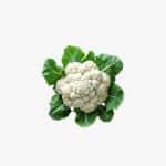 Cauliflower Japanese