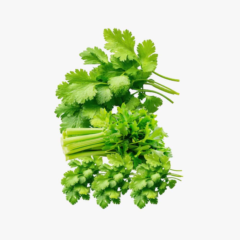 Organic Fresh Green Celery Stalks