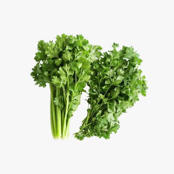 Organic Fresh Green Celery Stalks