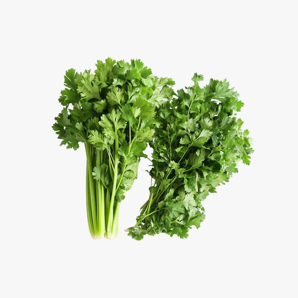 Organic Fresh Green Celery Stalks