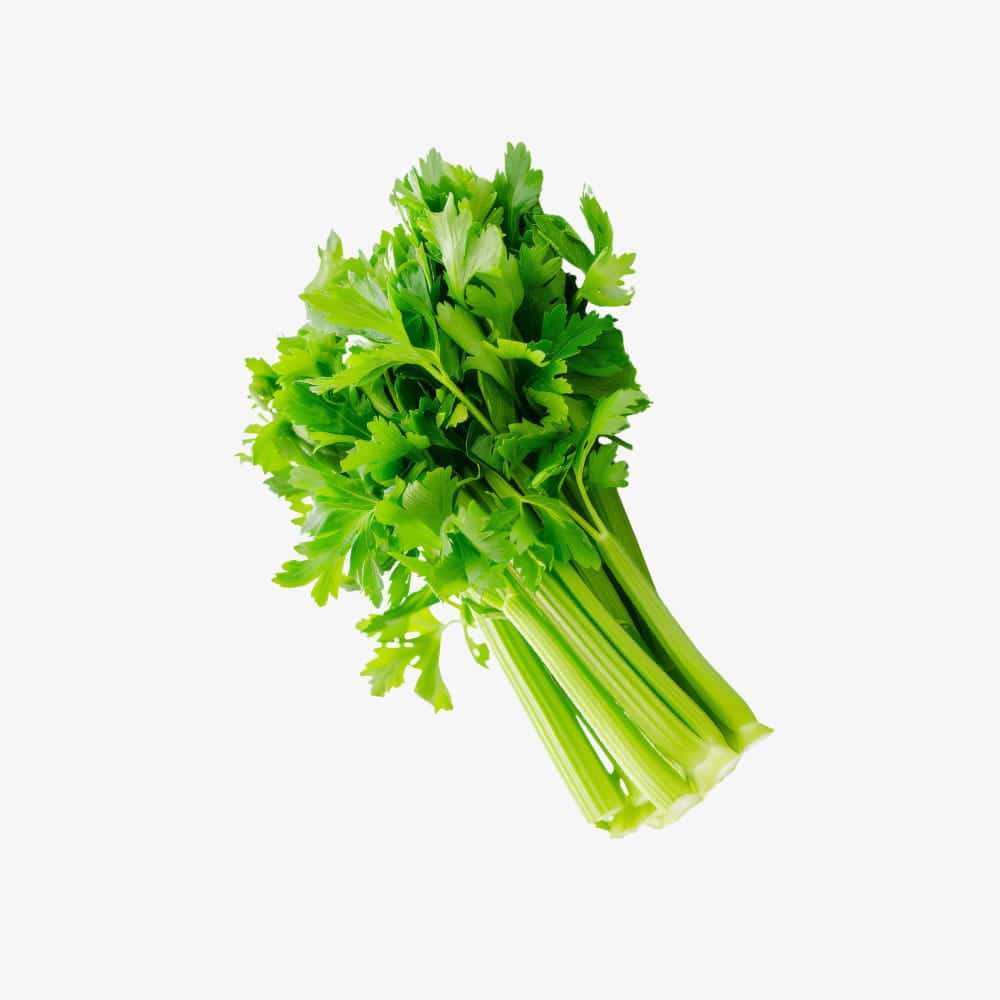 Organic Fresh Green Celery Stalks
