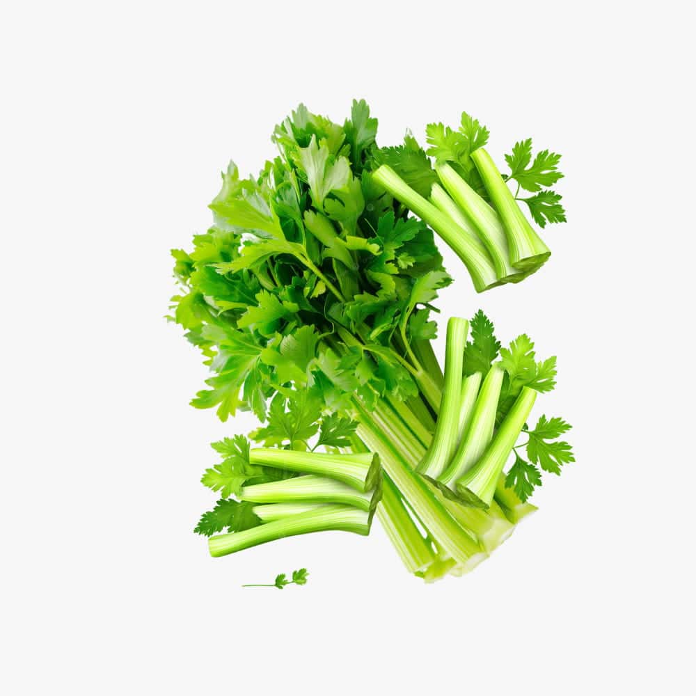 Organic Fresh Green Celery Stalks