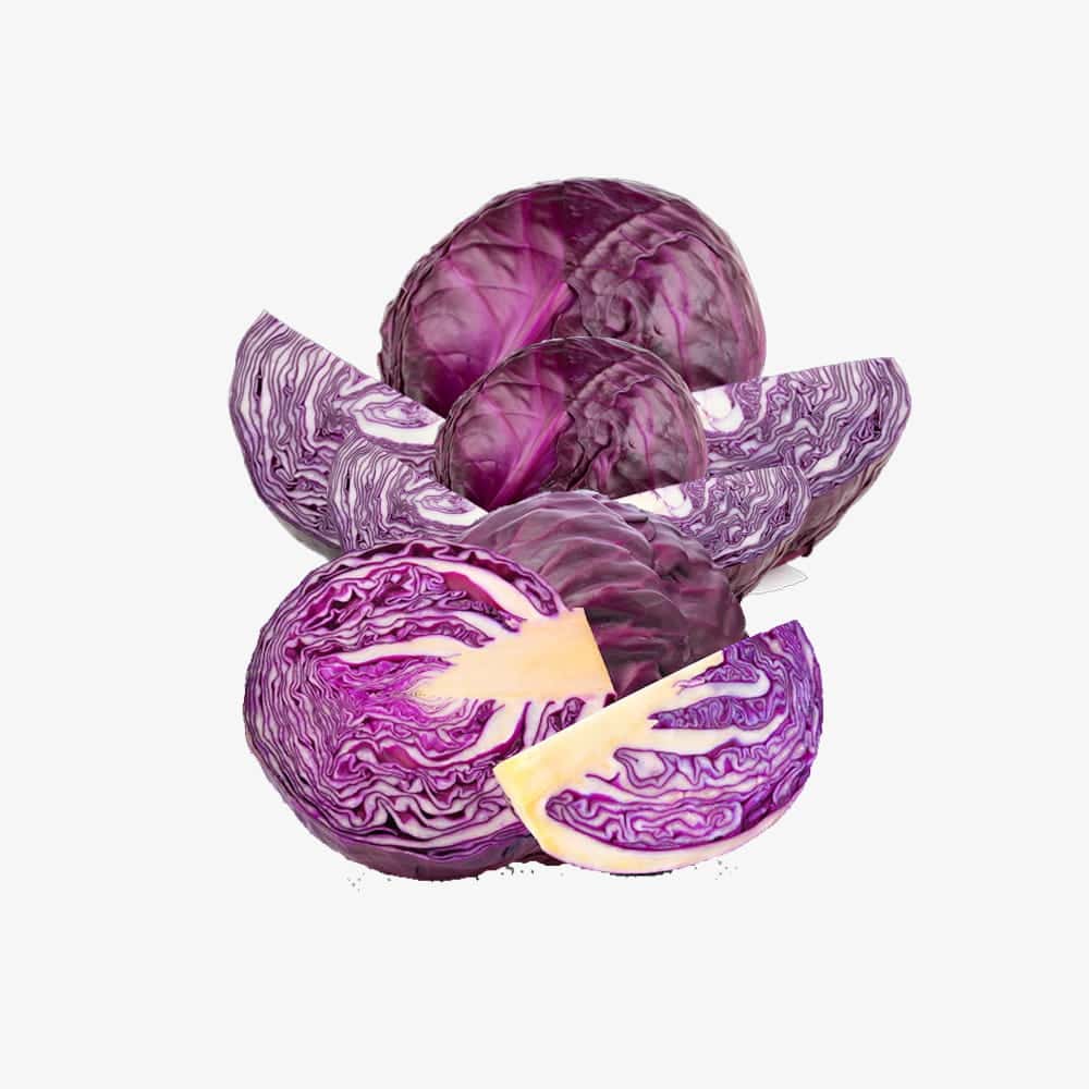 Fresh Premium Purple Cabbage