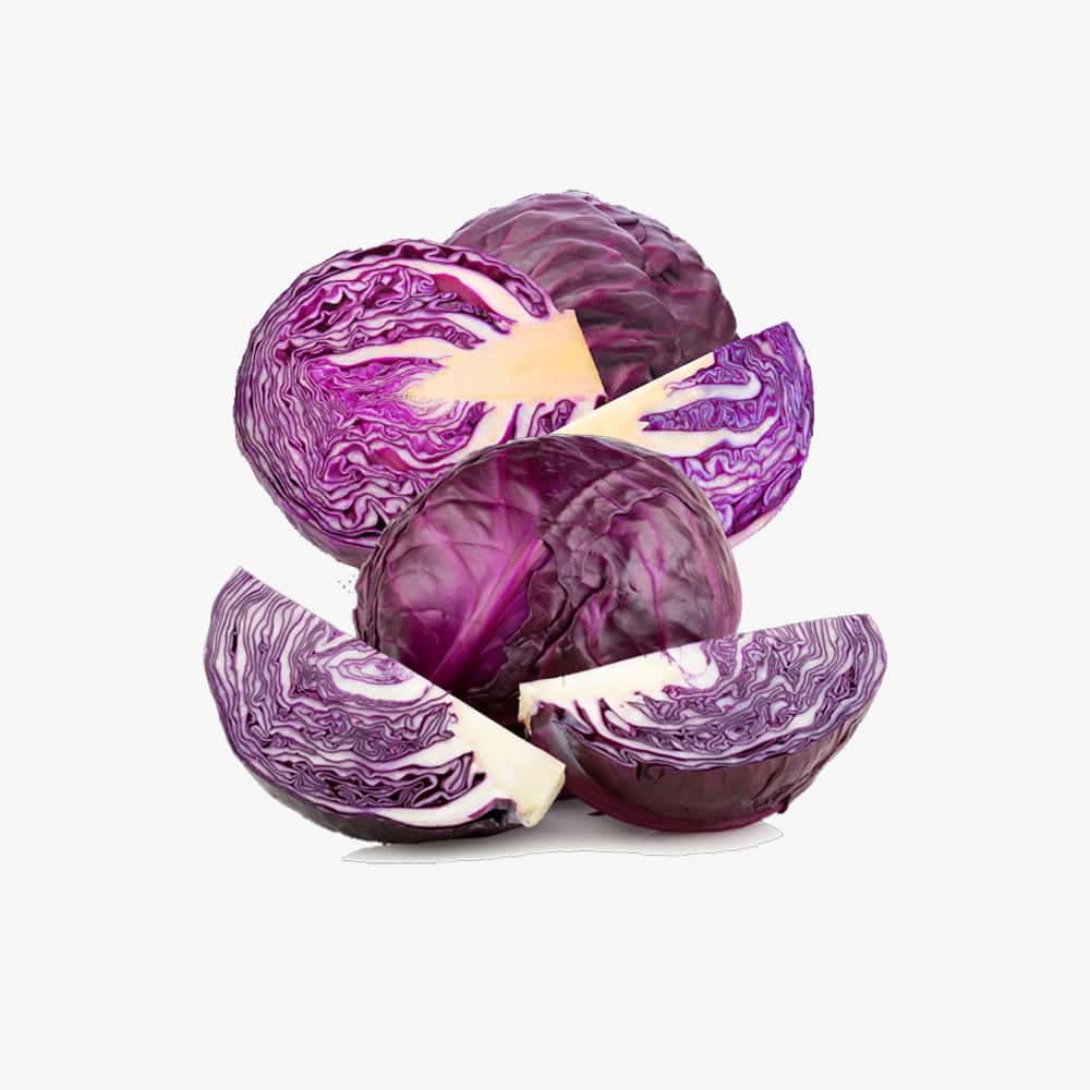 Fresh Premium Purple Cabbage