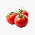 Fresh Vine-Ripened Tomatoes