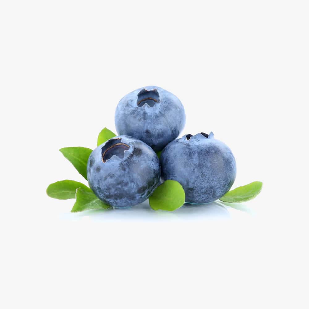 Fresh Blueberries