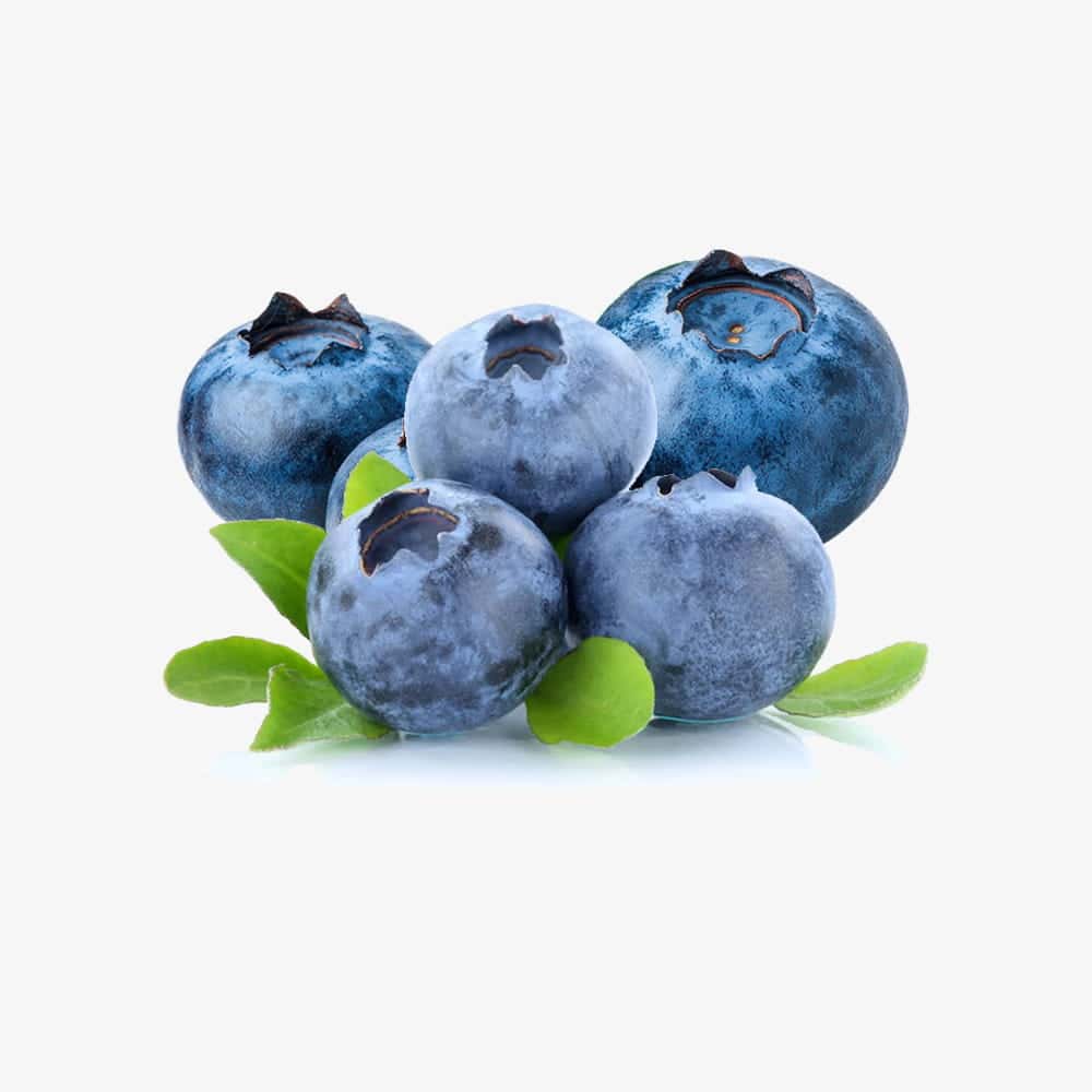Fresh Blueberries