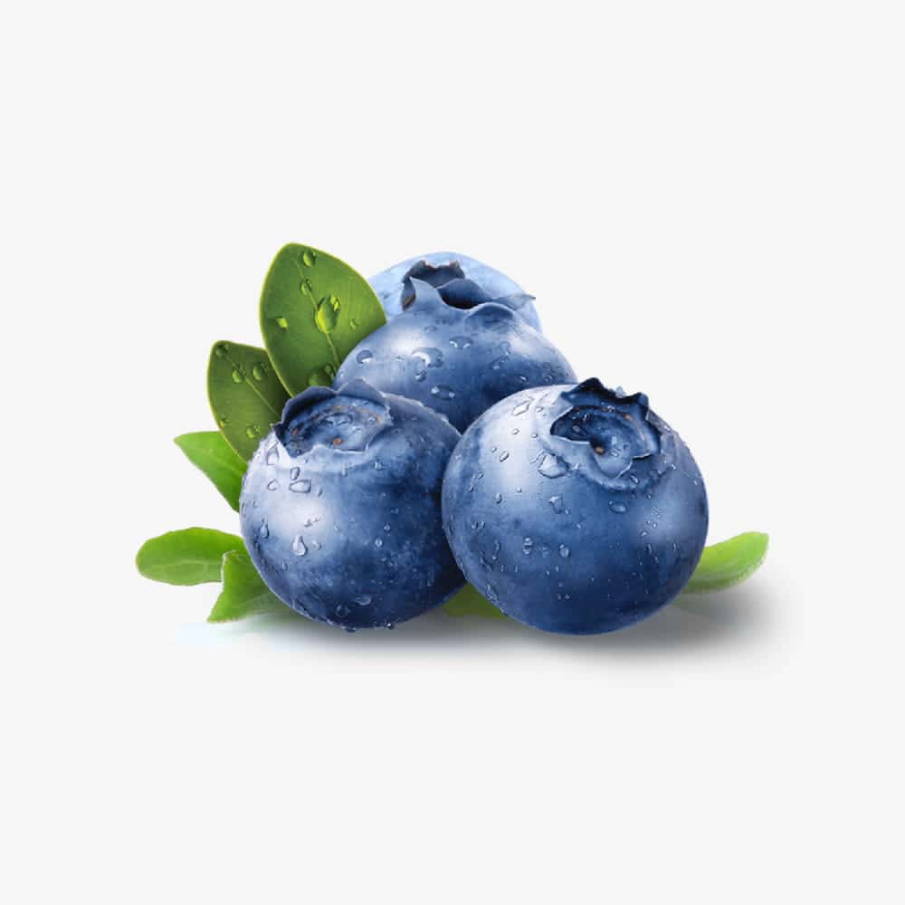 Fresh Blueberries