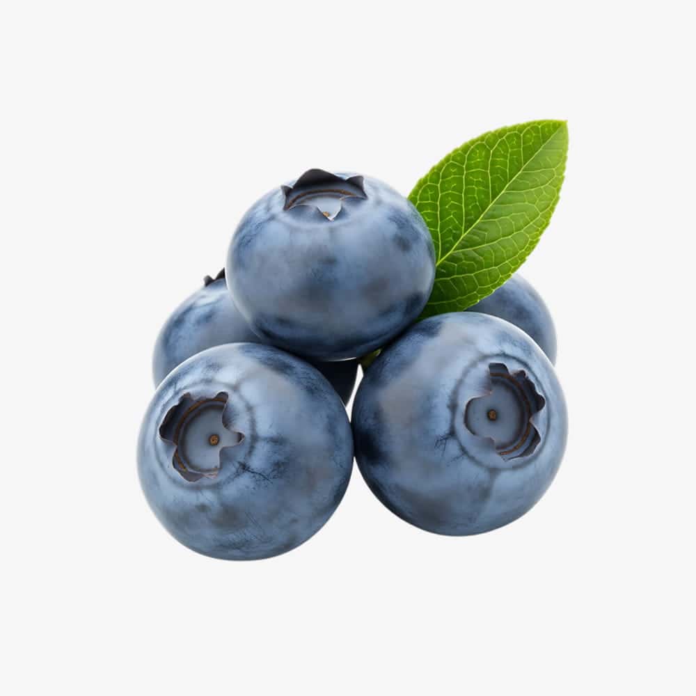 Fresh Blueberries