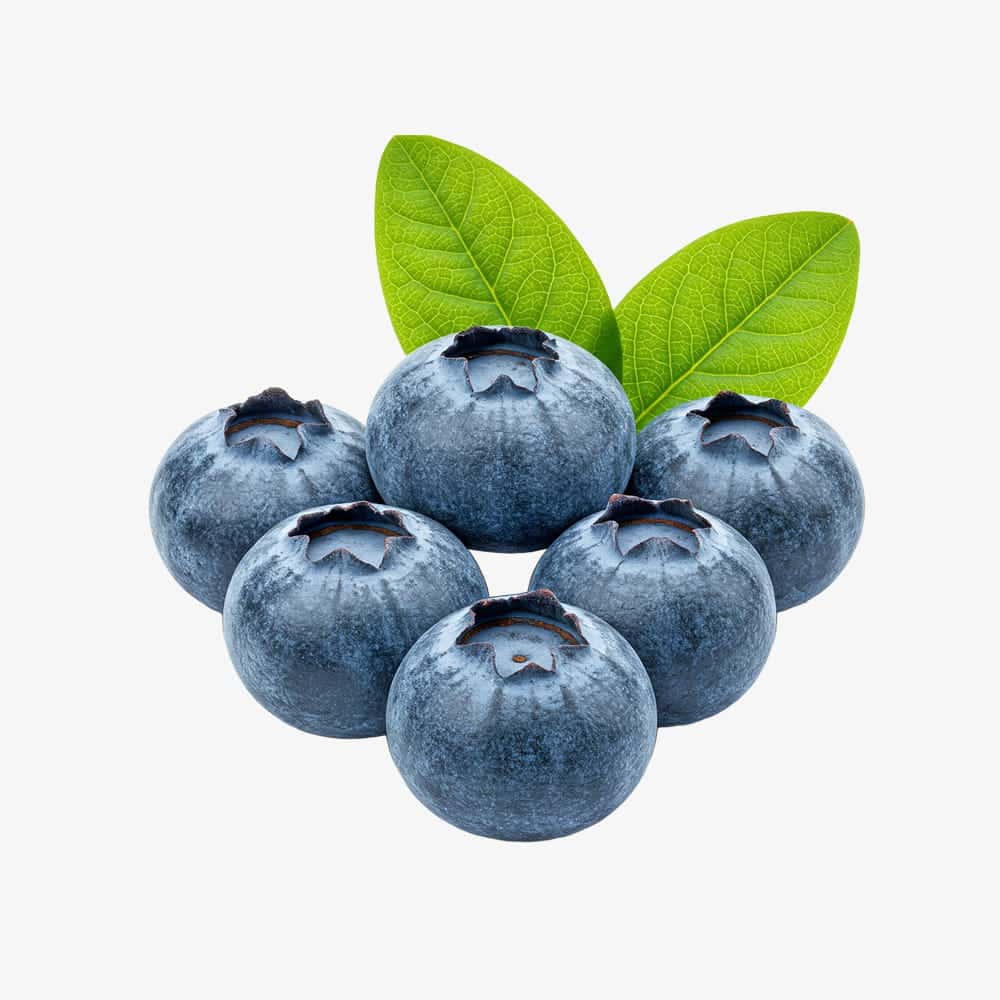 Fresh Blueberries