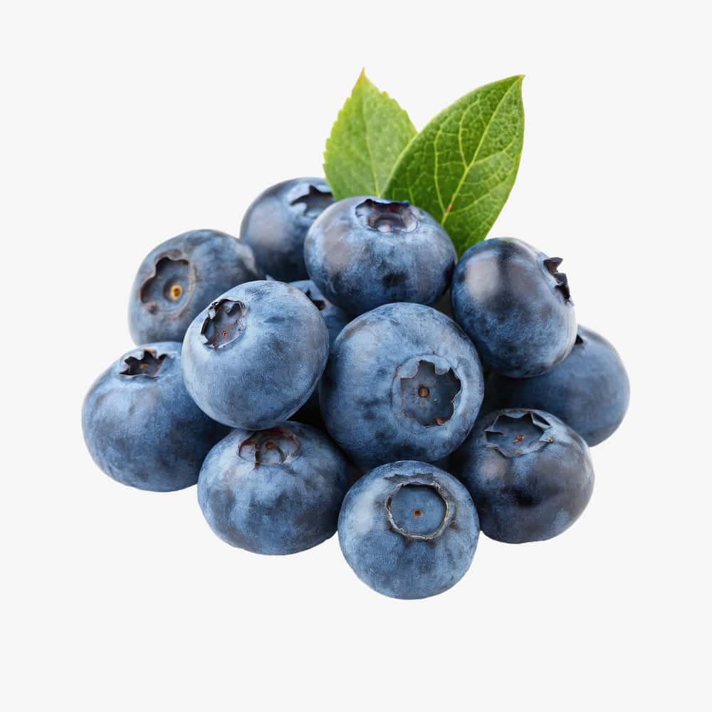 Fresh Blueberries