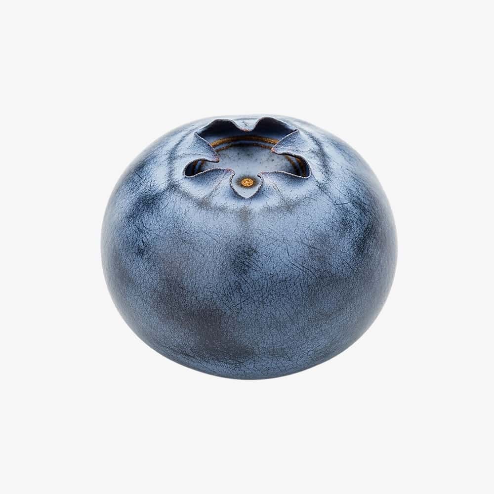 Fresh Blueberries
